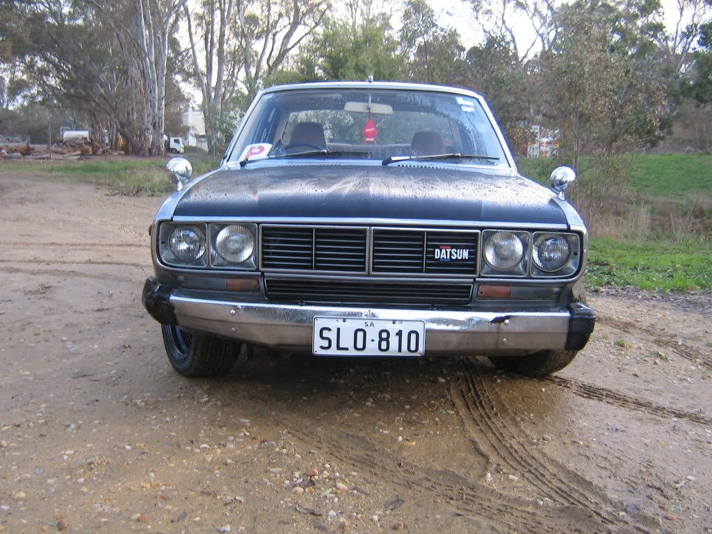 My Daily, The 200B pig.