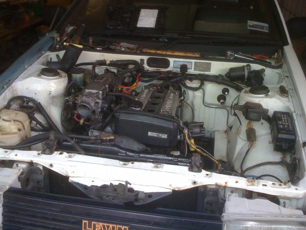 Blizz's Levin