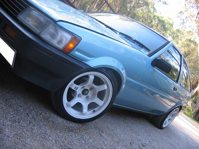 JD's Daily Thrasher