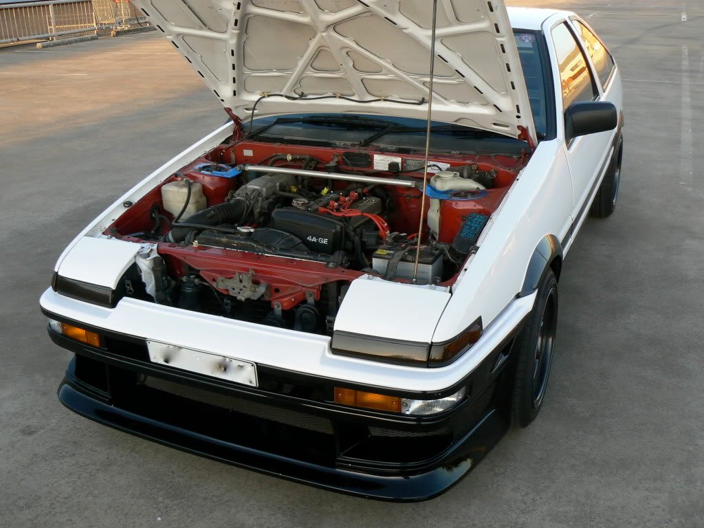 Fuzzy's Trueno
